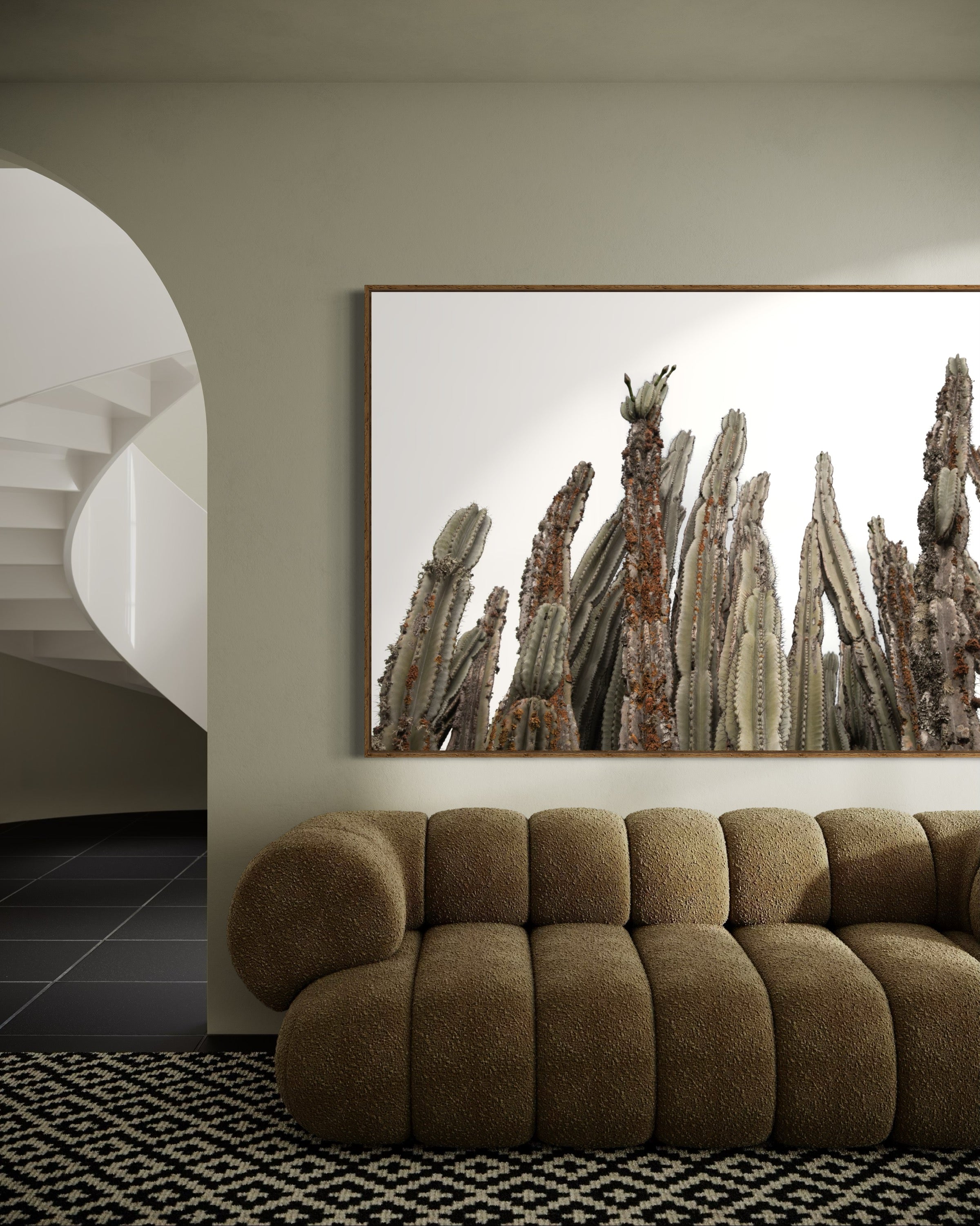 Aspiring Cacti - African Cactus Botanical Fine Art Photographic Print