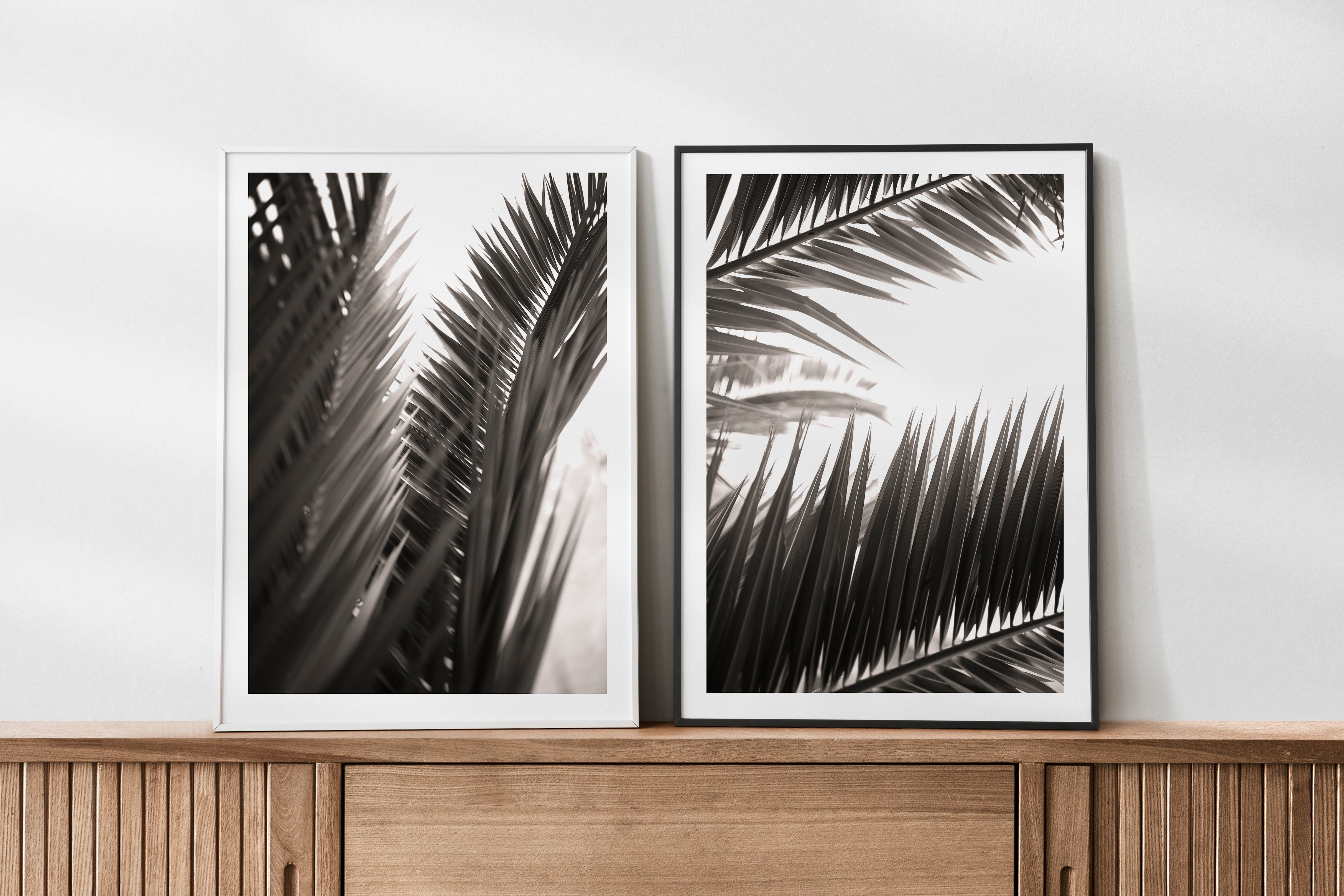 Botanic Noir #11 - African Palm Leaf Botanical Fine Art Photographic Print