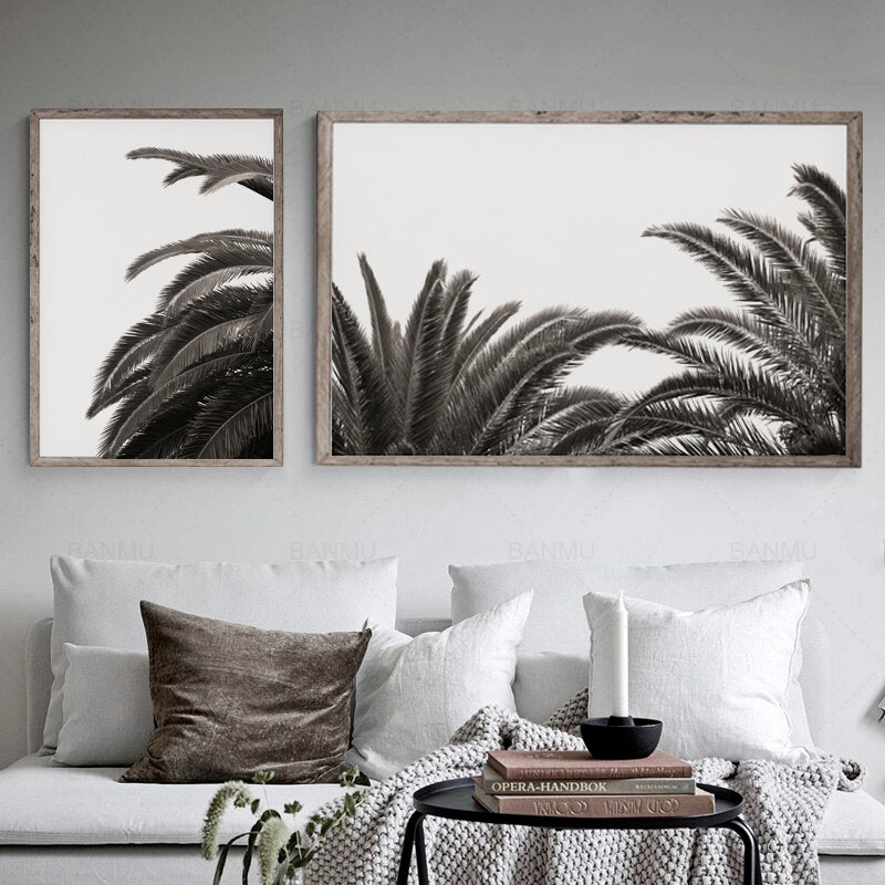 Botanic Noir #6 - African Palm Leaf Botanical Fine Art Photographic Print