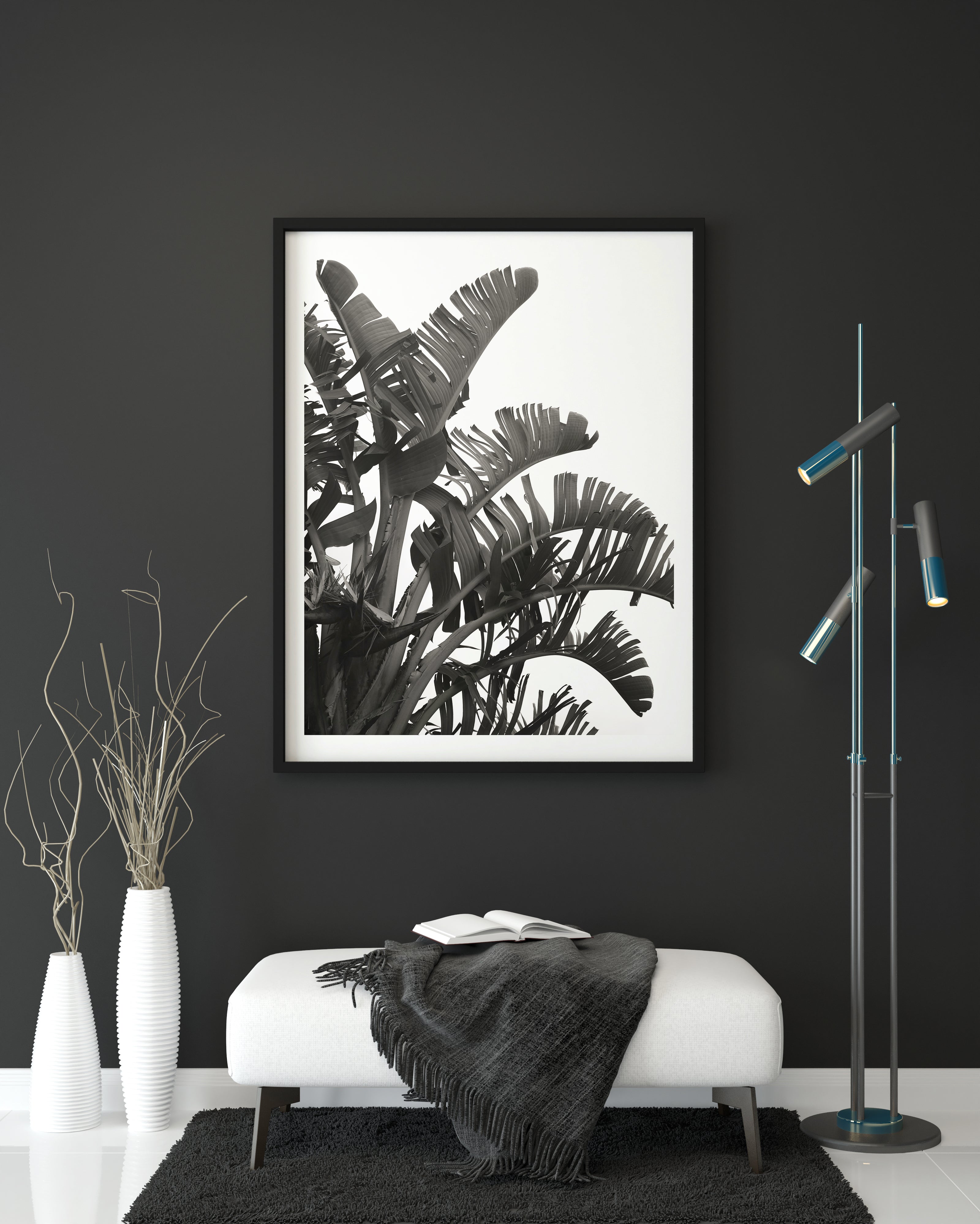 Botanic Noir #12 - African Palm Leaf Botanical Fine Art Photographic Print