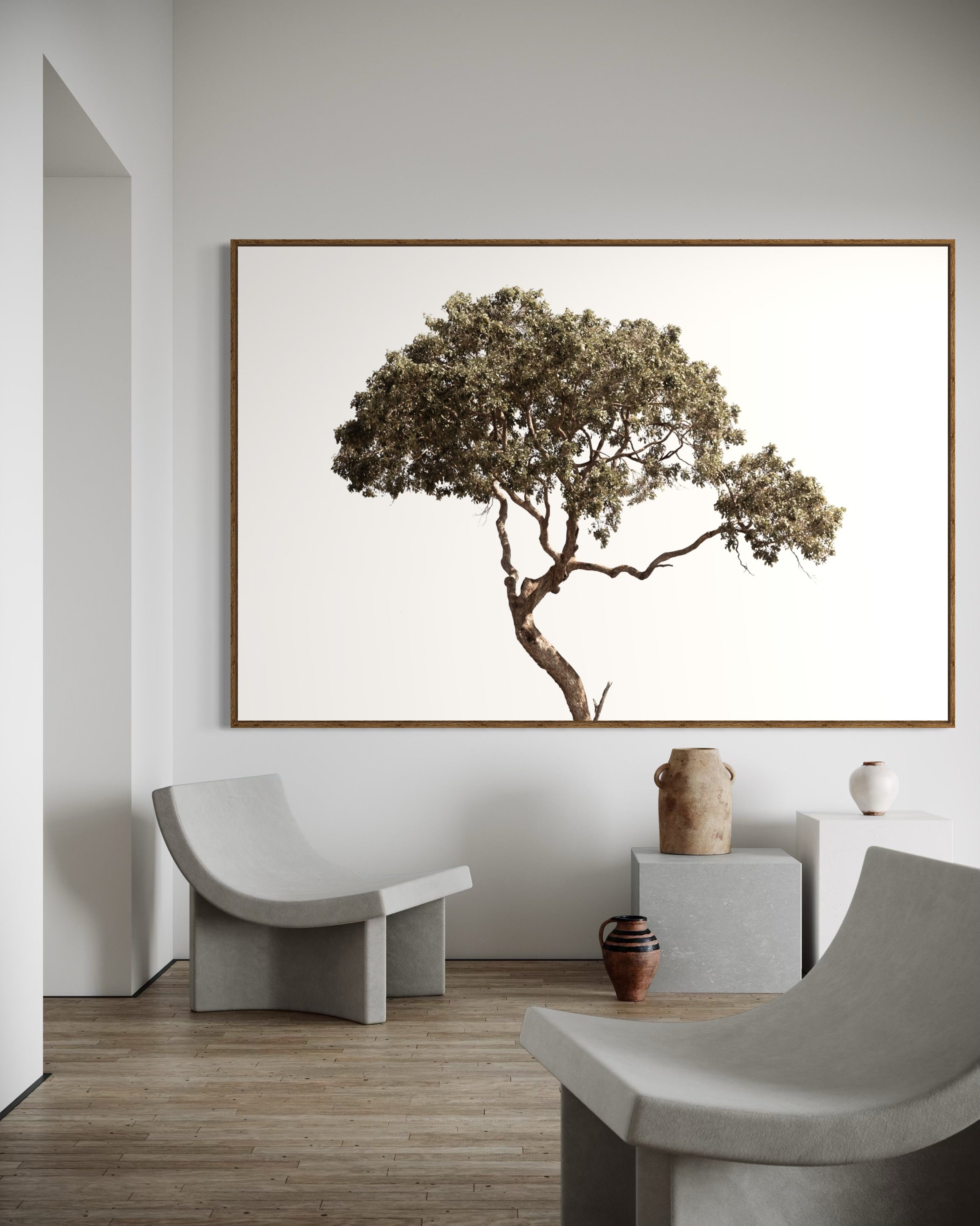 Itude of Nature - African Acacia Botanical Fine Art Photographic Print