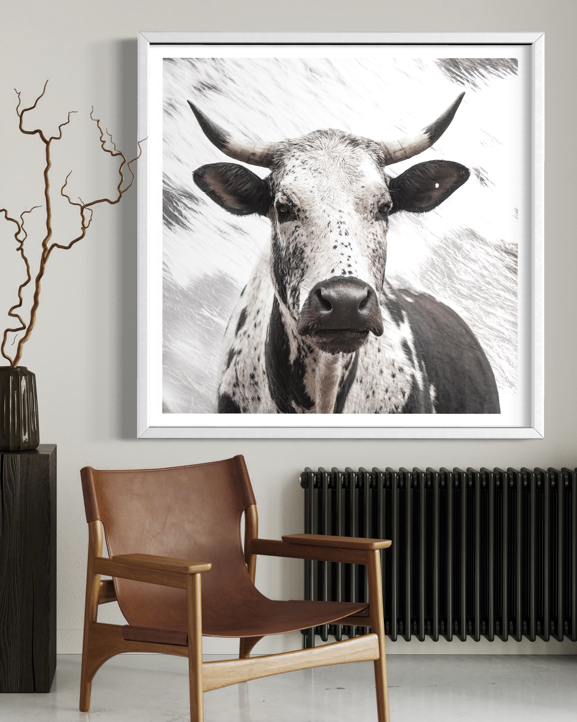 Majestic Stance - African Nguni Wildlife Fine Art Photographic Print