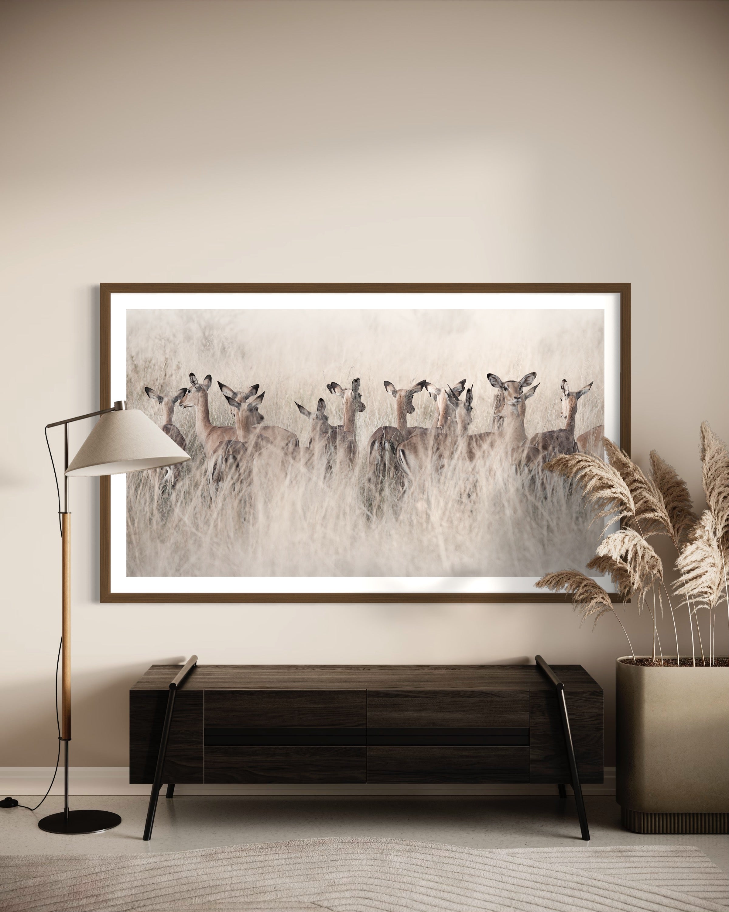 Sunrise Ladies - African Antelope Wildlife Fine Art Photographic Print